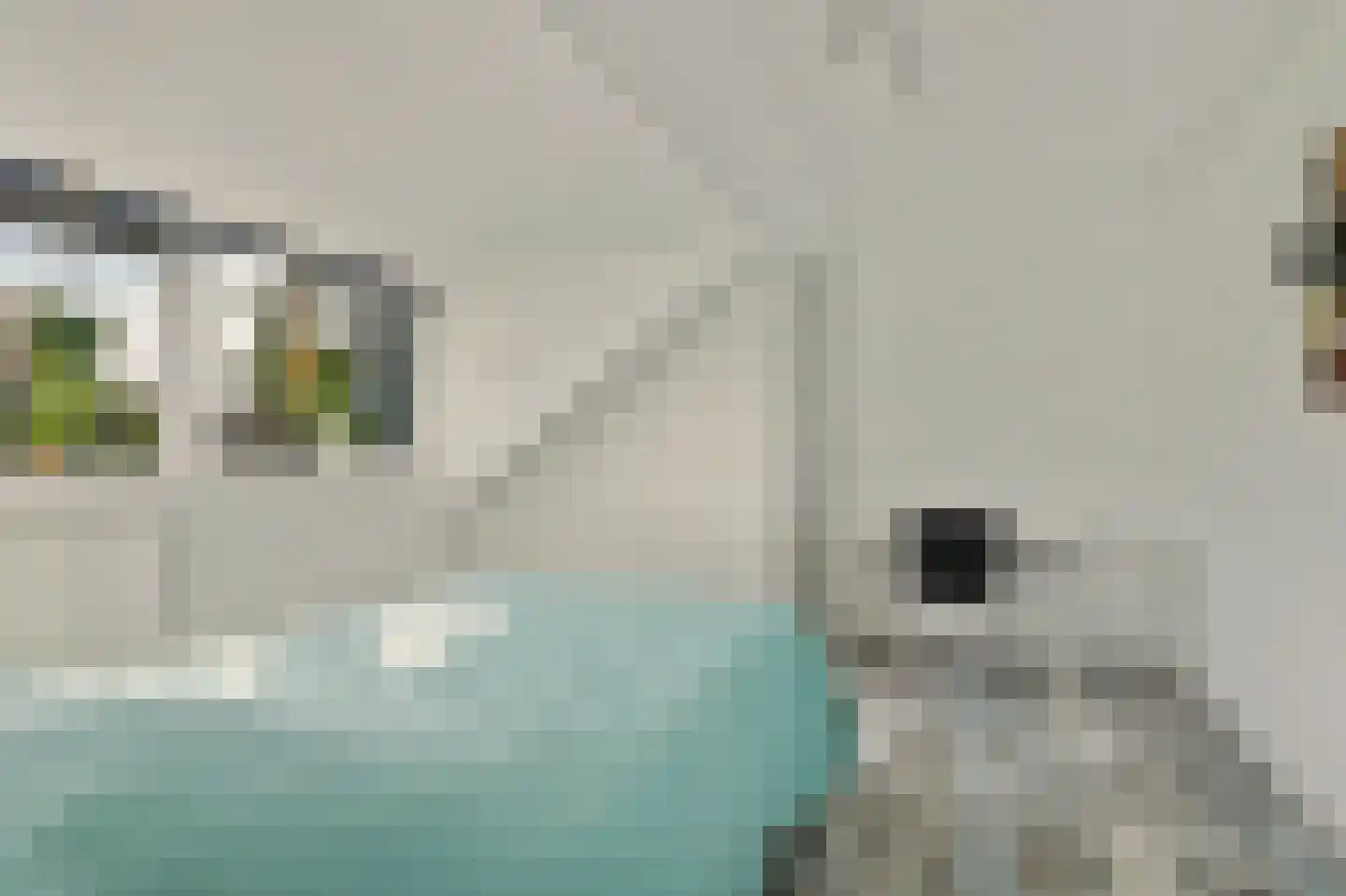 Woodrow Wilsonlaan 1 Rijswijk thumbnail 27