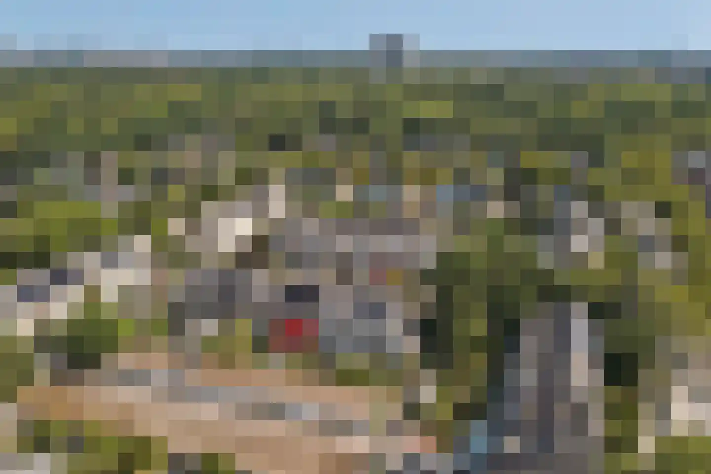 Woodrow Wilsonlaan 1 Rijswijk thumbnail 45