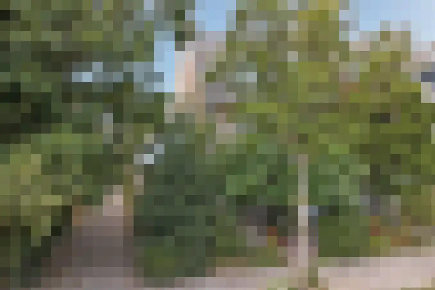 Woodrow Wilsonlaan 1 Rijswijk thumbnail 46