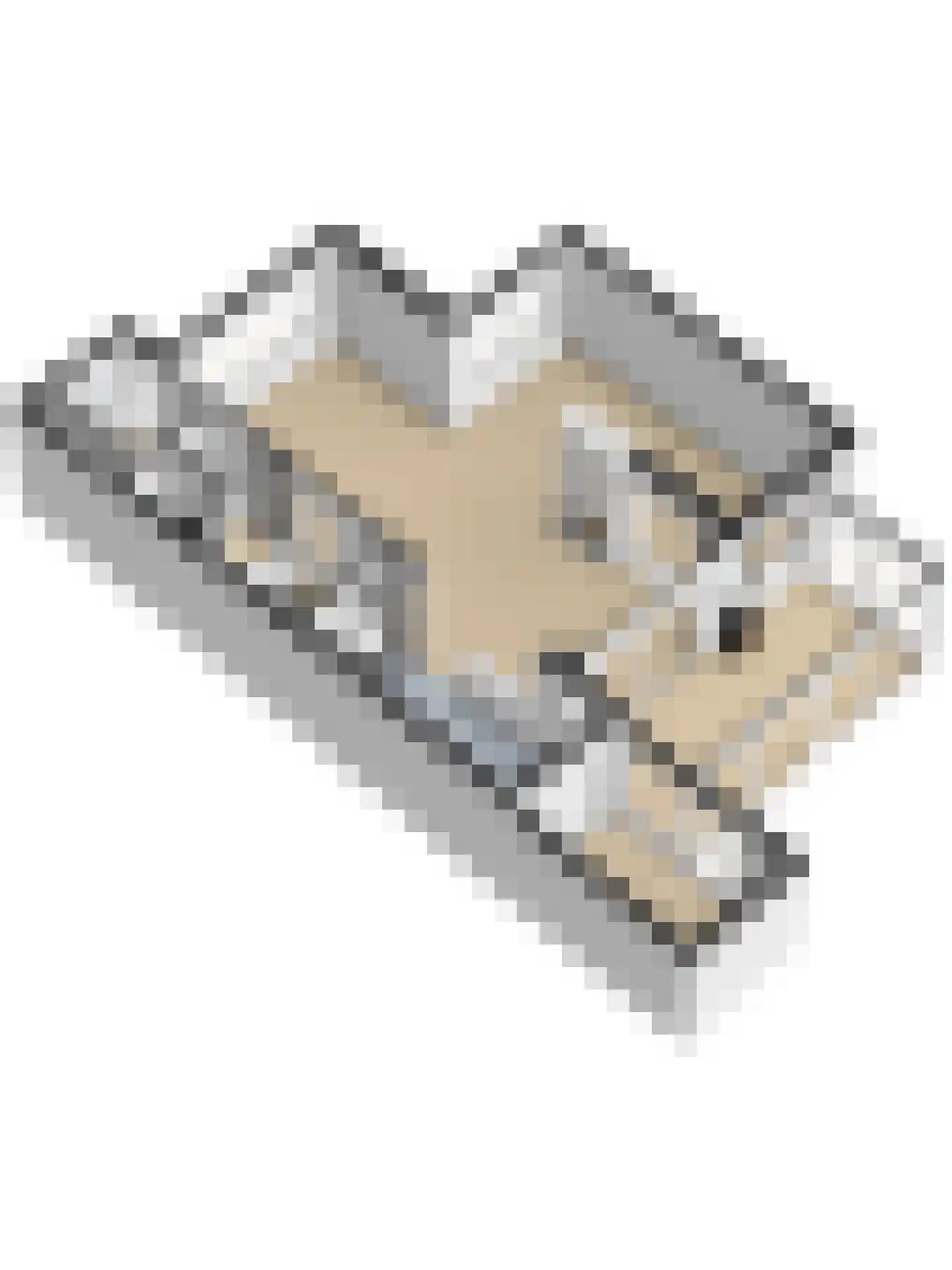 Woodrow Wilsonlaan 1 Rijswijk thumbnail 50