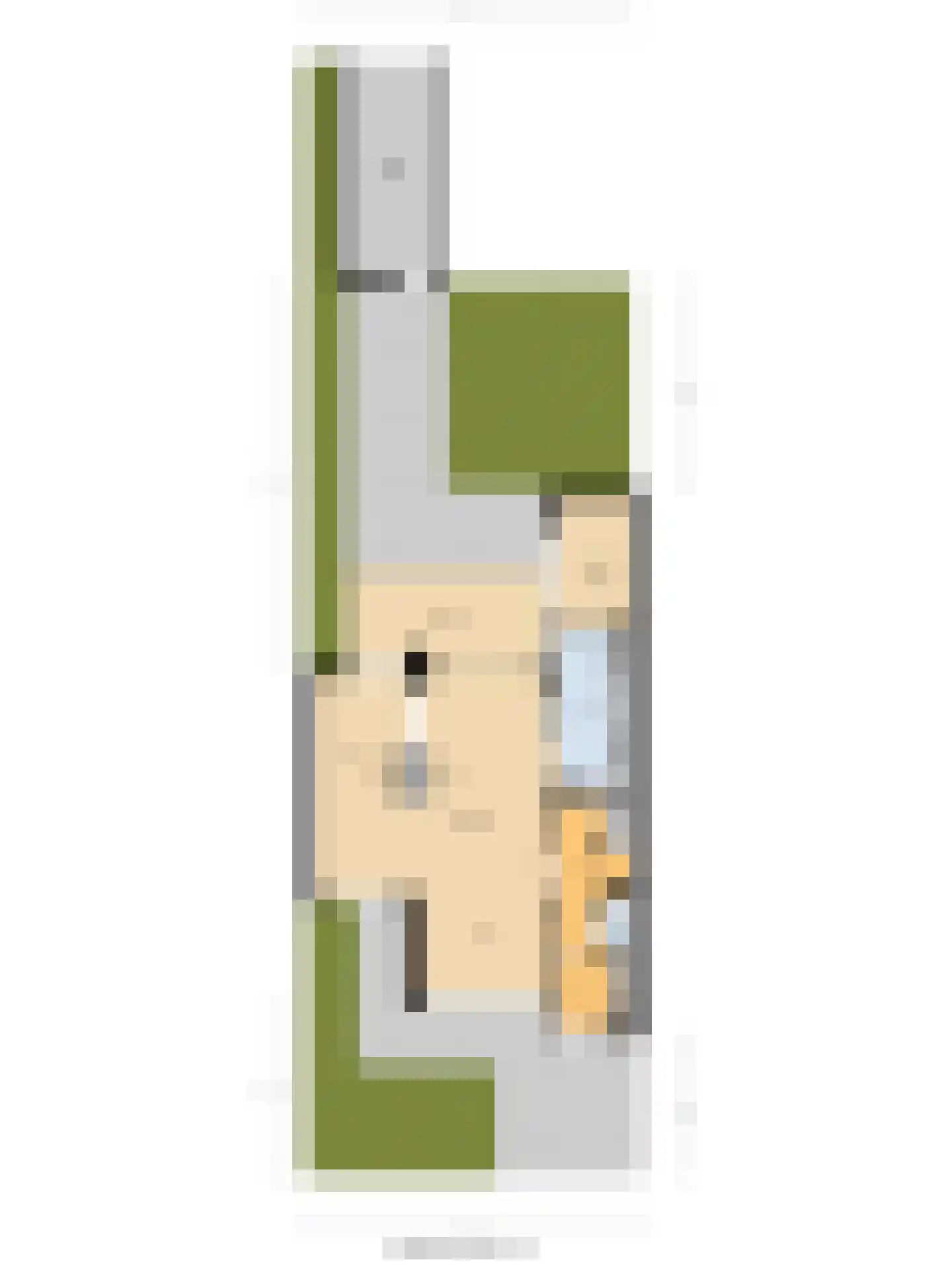 Woodrow Wilsonlaan 1 Rijswijk thumbnail 59