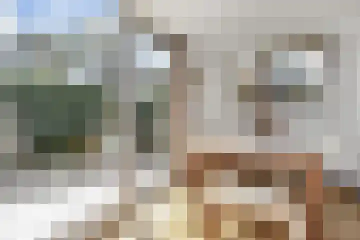 Woodrow Wilsonlaan 9 Rijswijk thumbnail 17