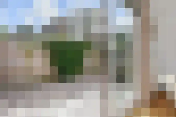 Woodrow Wilsonlaan 9 Rijswijk thumbnail 18