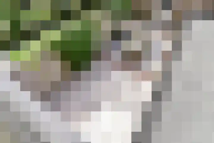 Woodrow Wilsonlaan 9 Rijswijk thumbnail 34