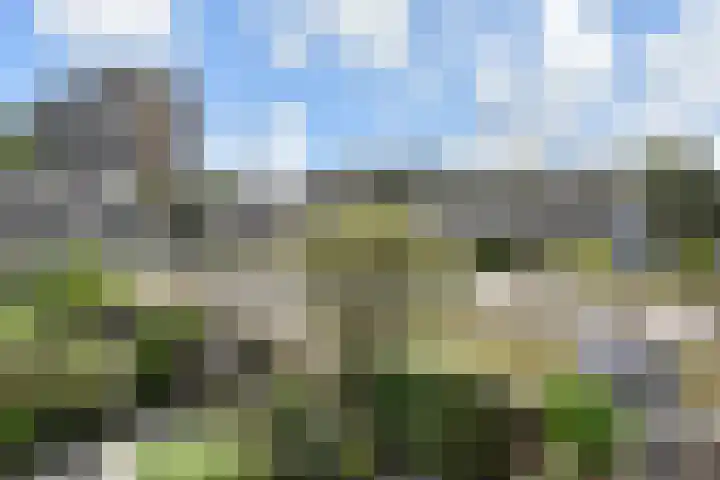 Woodrow Wilsonlaan 9 Rijswijk thumbnail 42