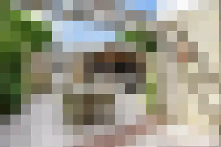 Woodrow Wilsonlaan 9 Rijswijk thumbnail 46