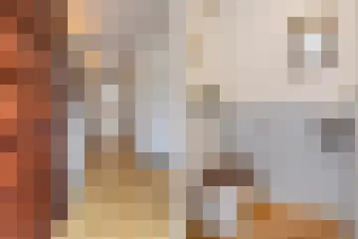 Woodrow Wilsonlaan 9 Rijswijk thumbnail 5