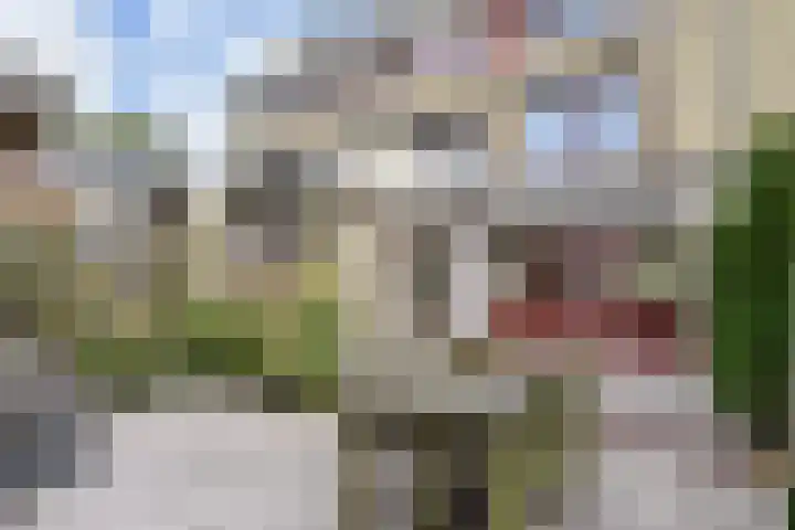 Woodrow Wilsonlaan 9 Rijswijk thumbnail 50