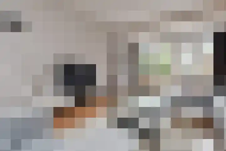 Woodrow Wilsonlaan 9 Rijswijk thumbnail 7