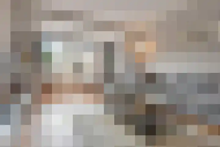 Woodrow Wilsonlaan 9 Rijswijk thumbnail 8