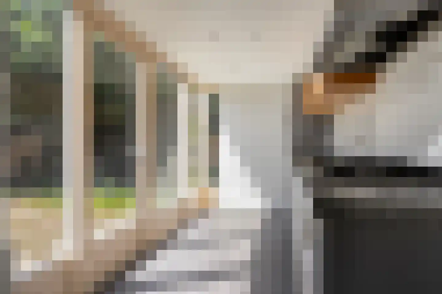 Woody Hermanstraat 16 Arnhem thumbnail 14