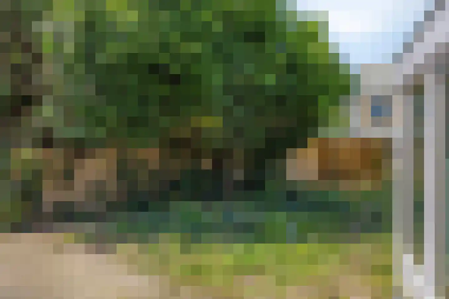 Woody Hermanstraat 16 Arnhem thumbnail 30