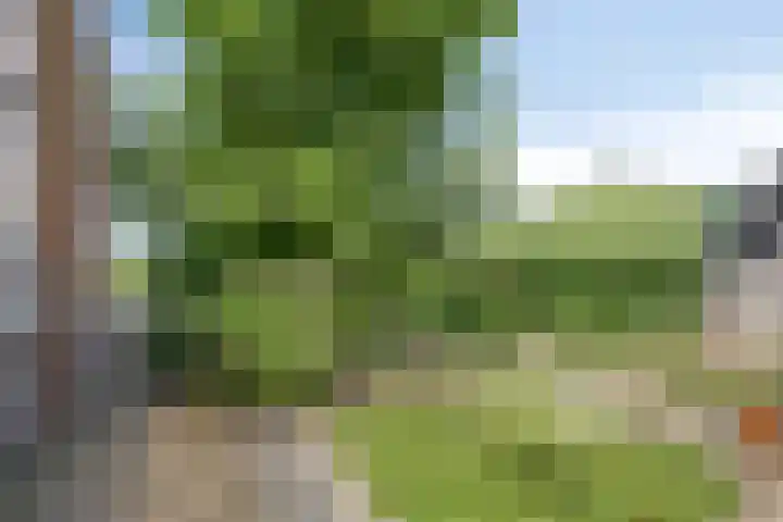 Wooijstraat 11 Herpen thumbnail 22