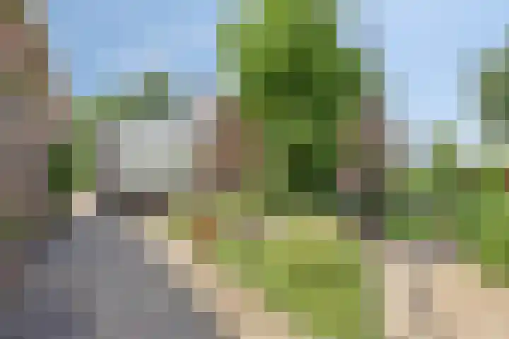 Wooijstraat 11 Herpen thumbnail 23