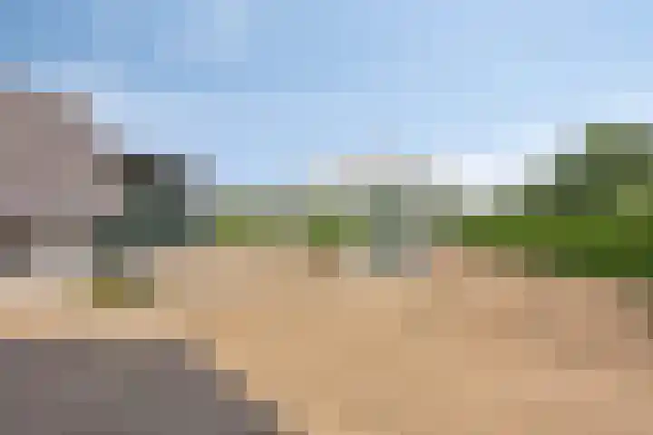 Wooijstraat 11 Herpen thumbnail 24