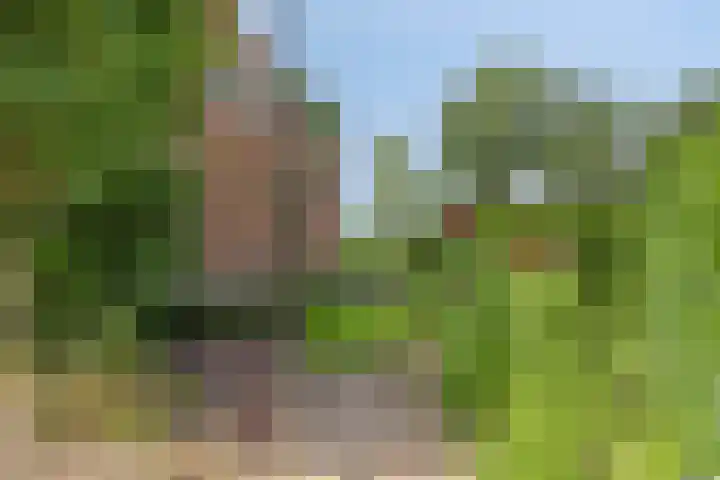 Wooijstraat 11 Herpen thumbnail 26