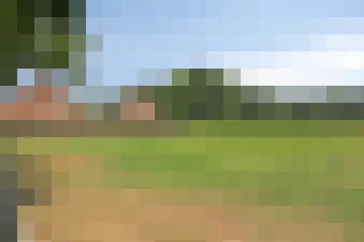 Wooijstraat 11 Herpen thumbnail 30