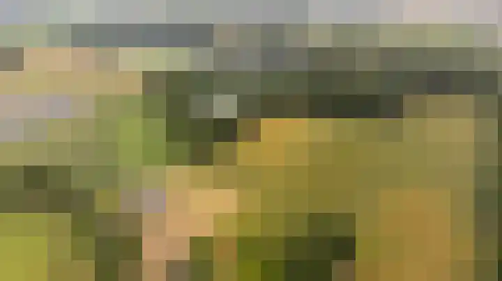 Wooijstraat 11 Herpen thumbnail 33