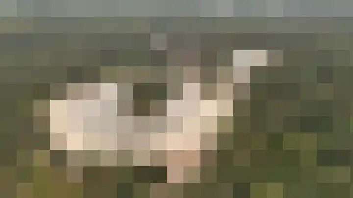 Wooijstraat 11 Herpen thumbnail 37