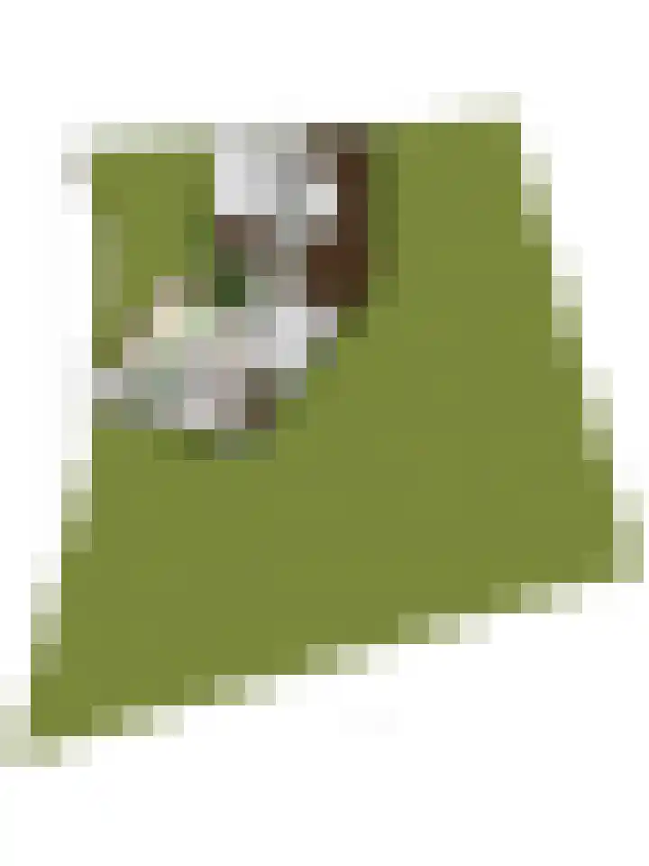 Wooijstraat 11 Herpen thumbnail 38