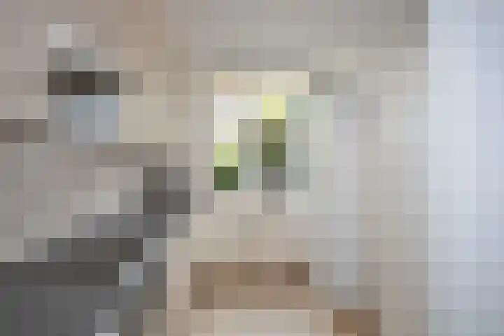 Woolderesweg 289 Hengelo thumbnail 11