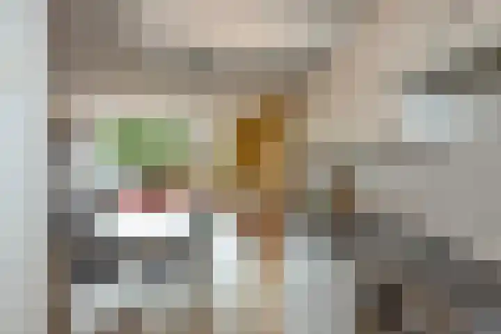 Woolderesweg 289 Hengelo thumbnail 12
