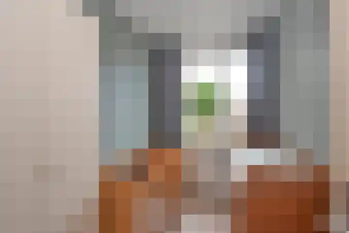 Woolderesweg 289 Hengelo thumbnail 19