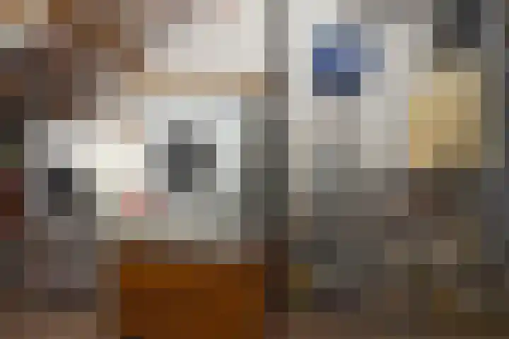 Woolderesweg 289 Hengelo thumbnail 24