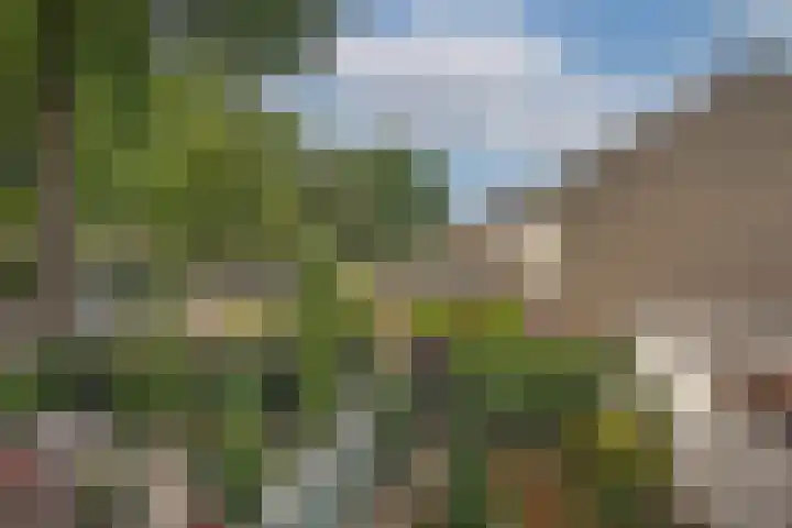 Woolderesweg 289 Hengelo thumbnail 25