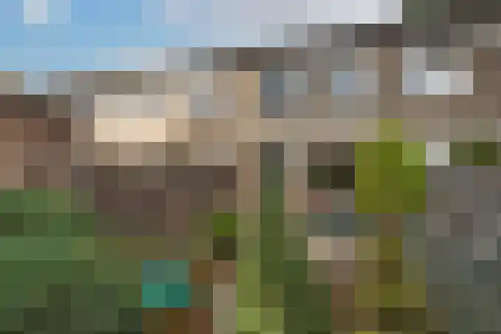Woolderesweg 289 Hengelo thumbnail 26