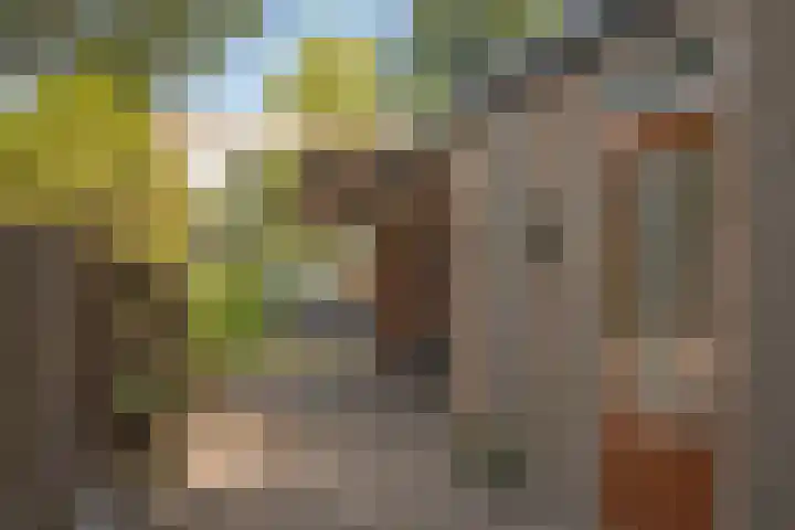Woolderesweg 289 Hengelo thumbnail 30