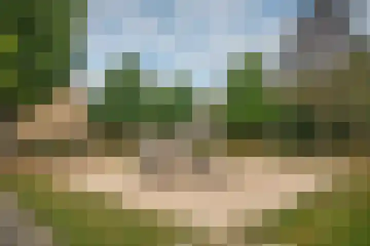 Woolderesweg 289 Hengelo thumbnail 32