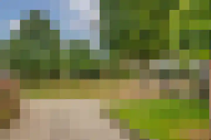 Woolderesweg 289 Hengelo thumbnail 33