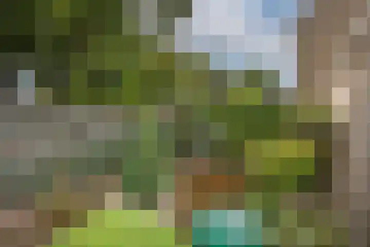 Woolderesweg 289 Hengelo thumbnail 4