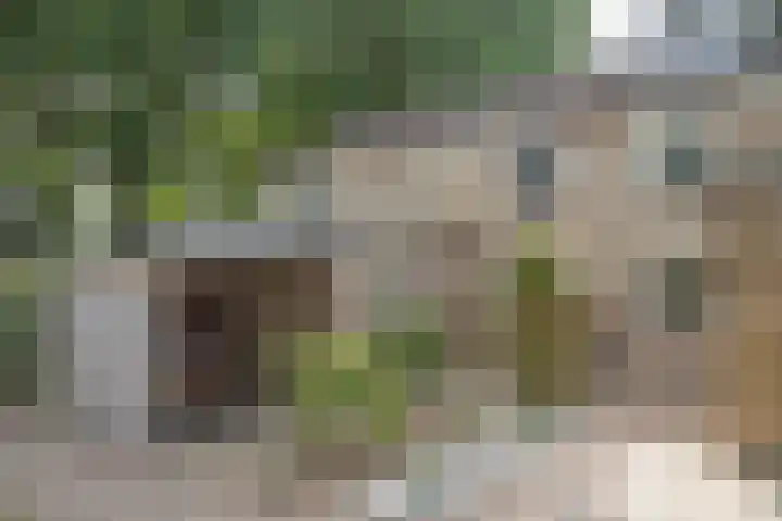 Woolderesweg 289 Hengelo thumbnail 5