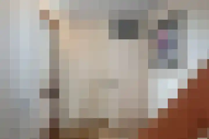 Woolderesweg 289 Hengelo thumbnail 6