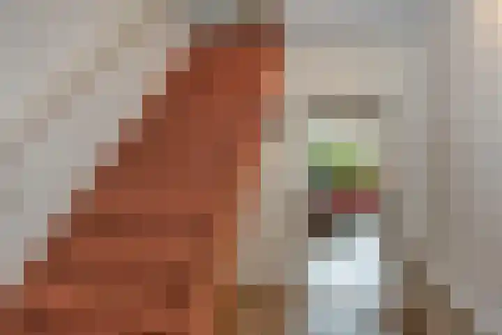 Woolderesweg 289 Hengelo thumbnail 7