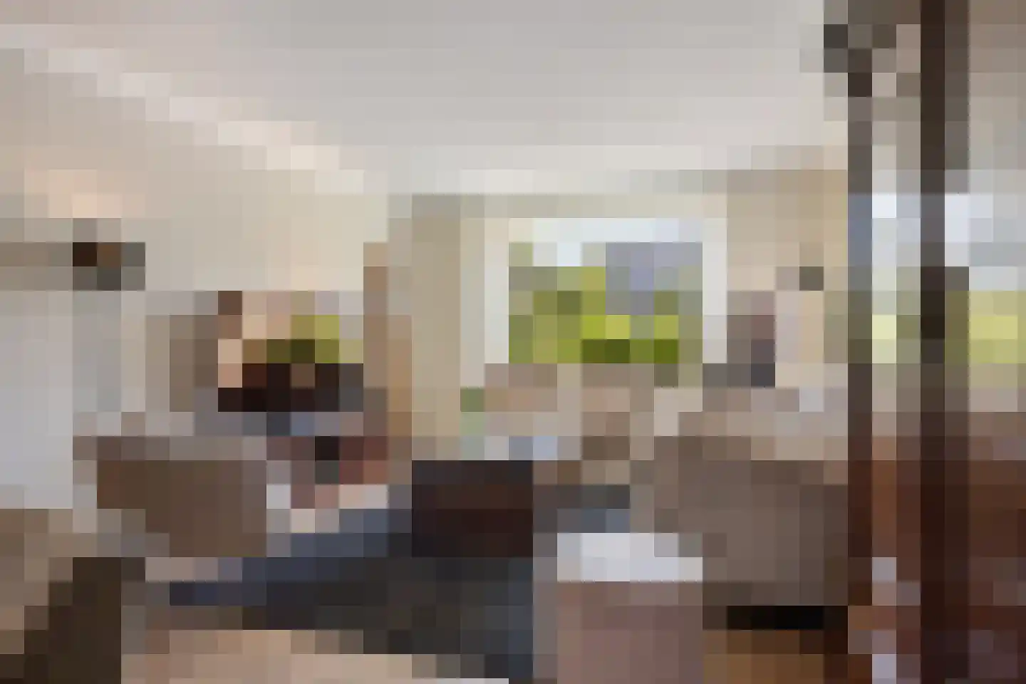 Woolderesweg 56 Hengelo thumbnail 12