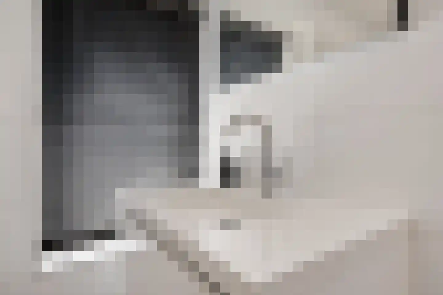 Woolderesweg 56 Hengelo thumbnail 27