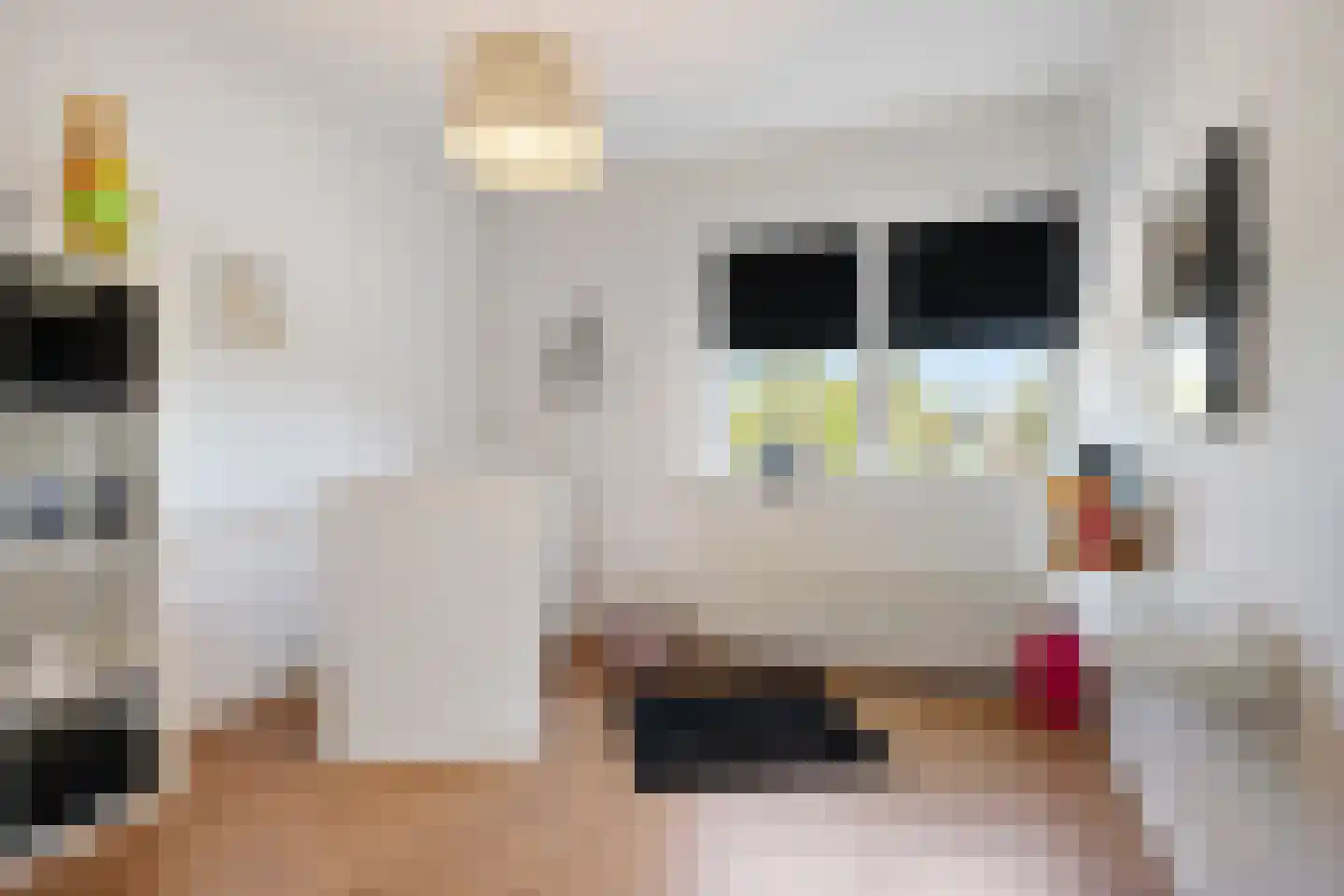 Woolderesweg 56 Hengelo thumbnail 32