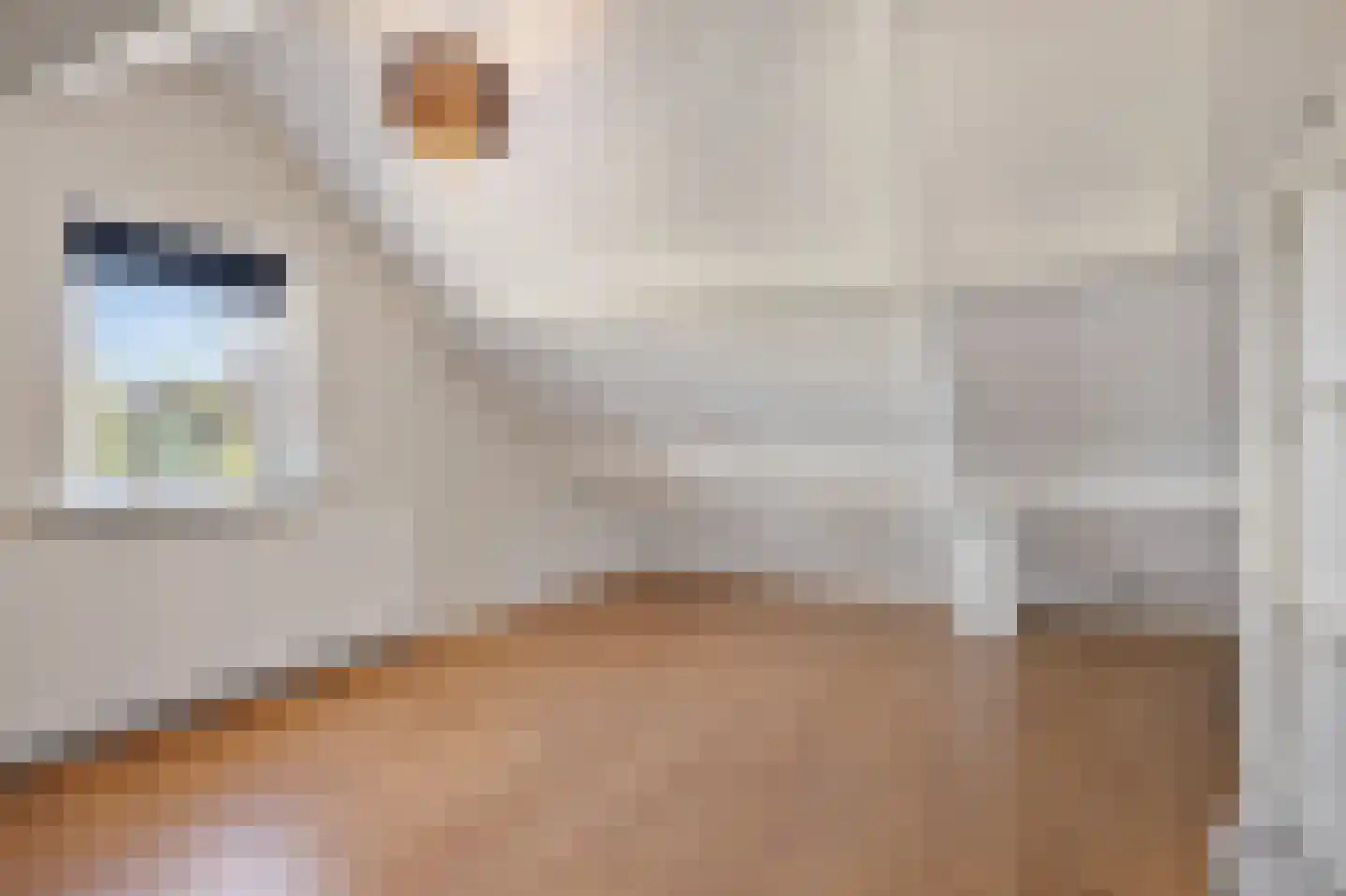 Woolderesweg 56 Hengelo thumbnail 34