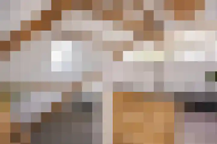 Woolderesweg 82 Hengelo thumbnail 34