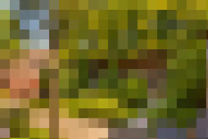 Woolderesweg 82 Hengelo thumbnail 36