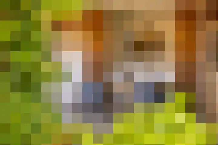 Woolderesweg 82 Hengelo thumbnail 37