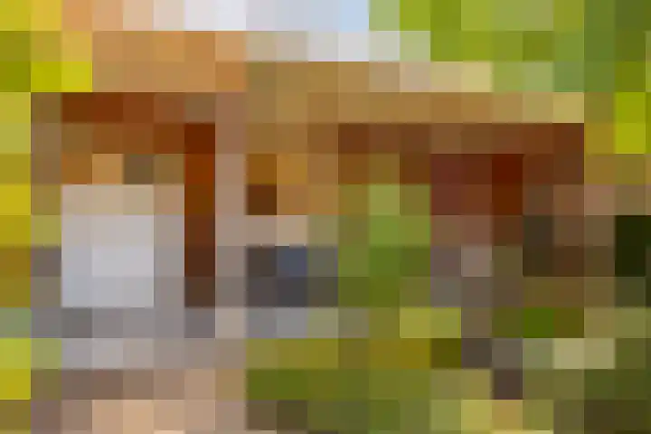 Woolderesweg 82 Hengelo thumbnail 39