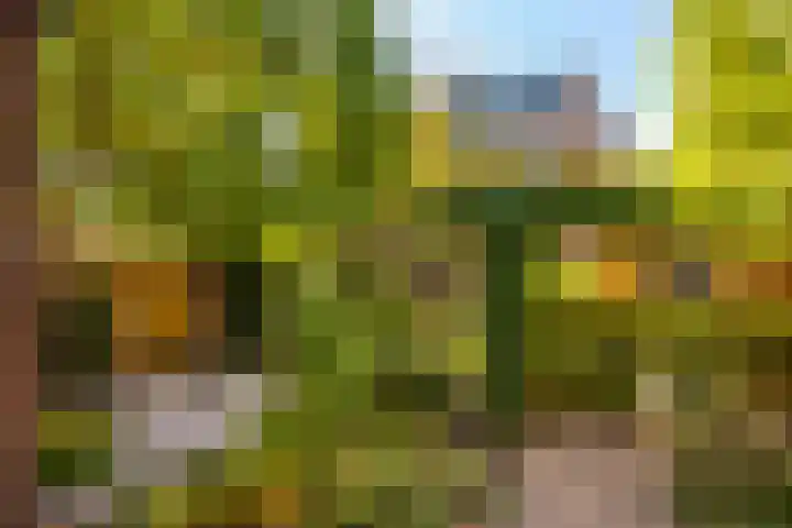 Woolderesweg 82 Hengelo thumbnail 42