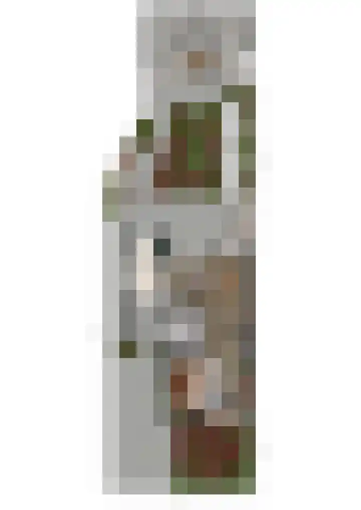Woolderesweg 82 Hengelo thumbnail 54