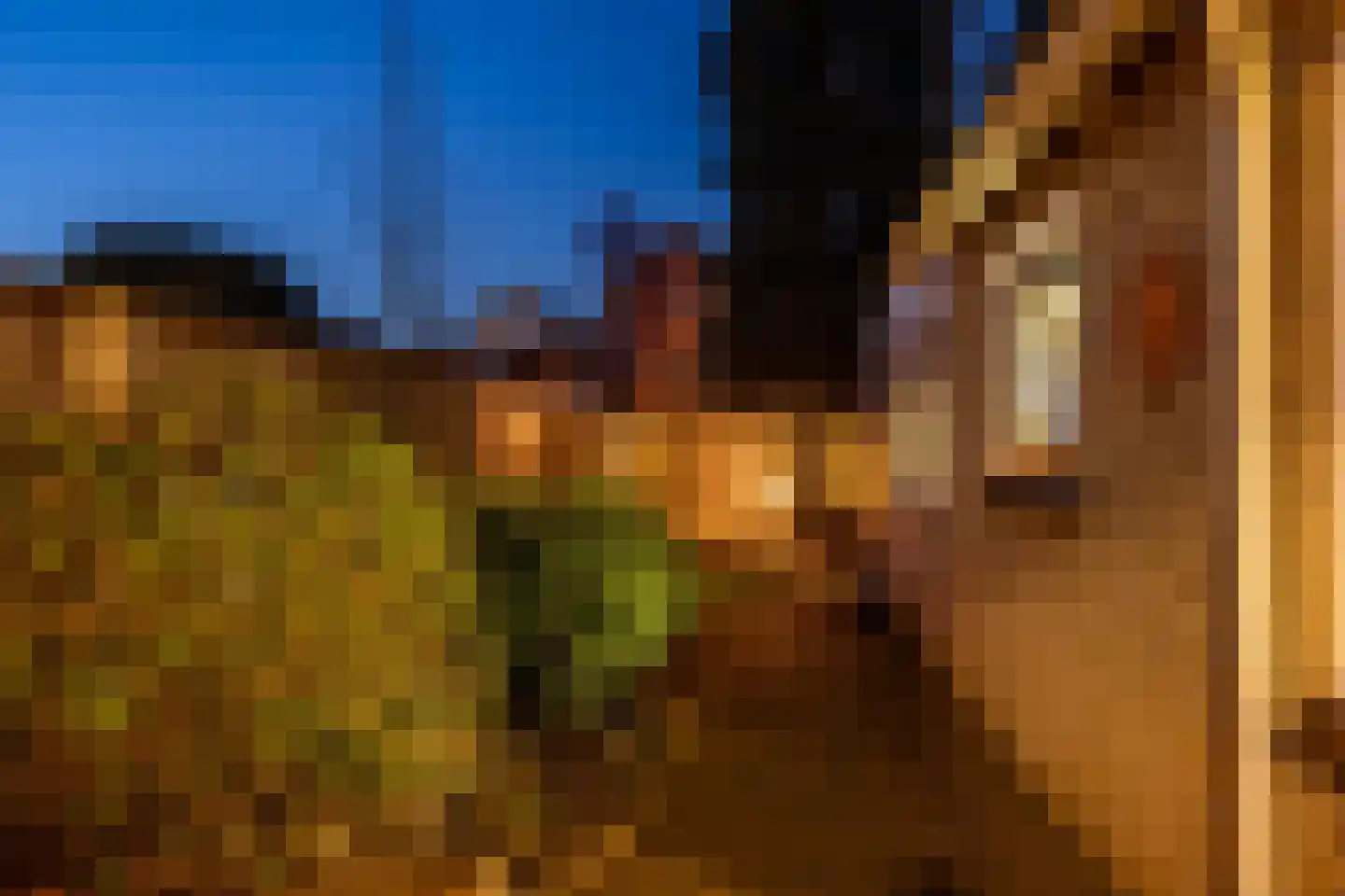 Woolderesweg 84 Hengelo thumbnail 33