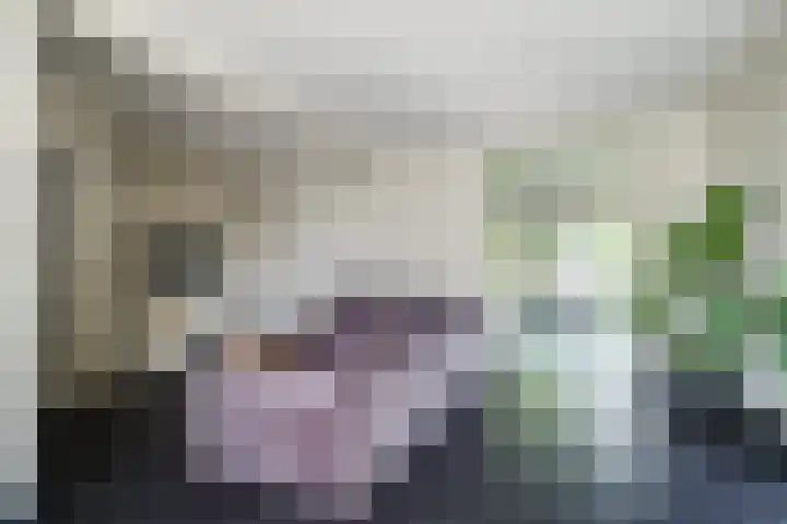 Woolderesweg 88 Hengelo thumbnail 13