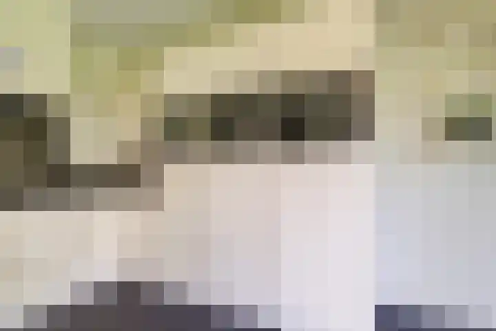 Woolderesweg 88 Hengelo thumbnail 20